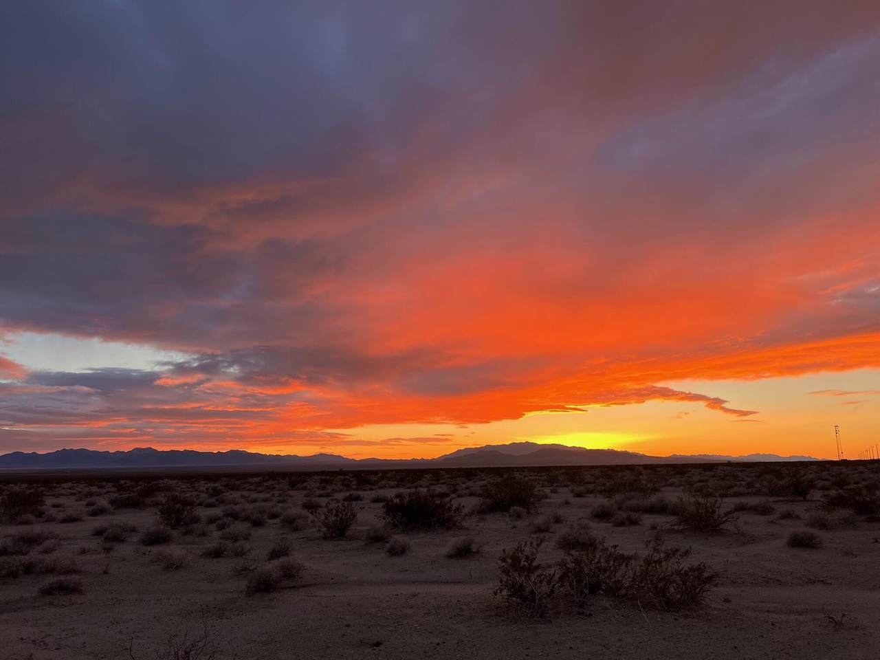 https://bt-photos.global.ssl.fastly.net/damls/1280_boomver_1_219145364-2.jpg