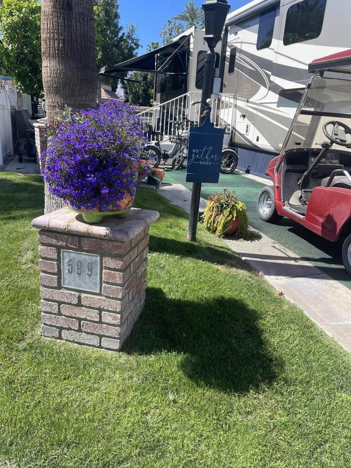 69411 Ramon Road - Photo 1