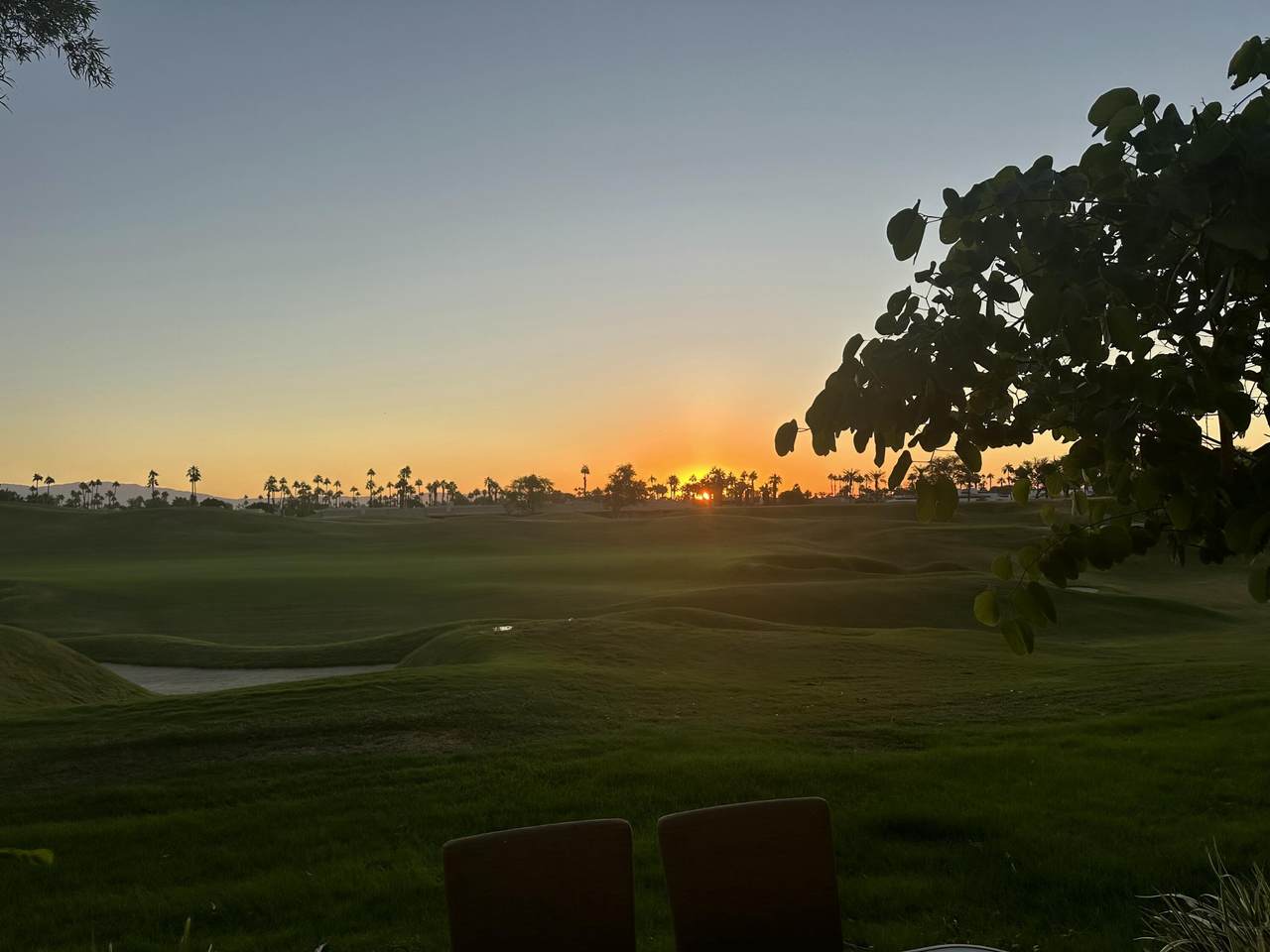 55080 Oak Tree - Photo 1