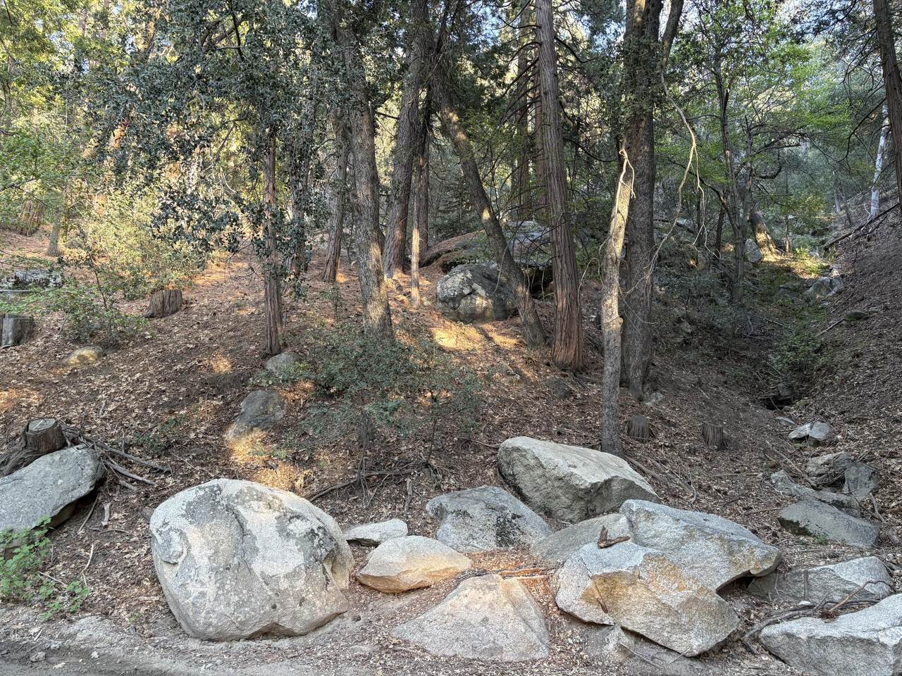 00000 Tahquitz View Drive - Photo 1