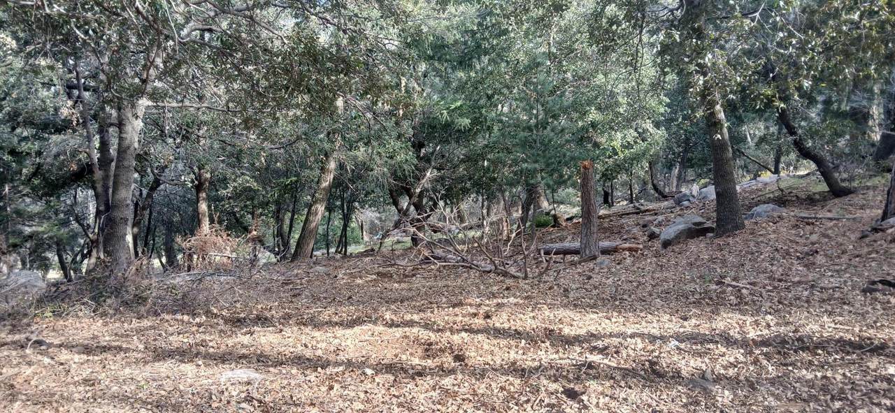 0 Alder Creek Road - Photo 1