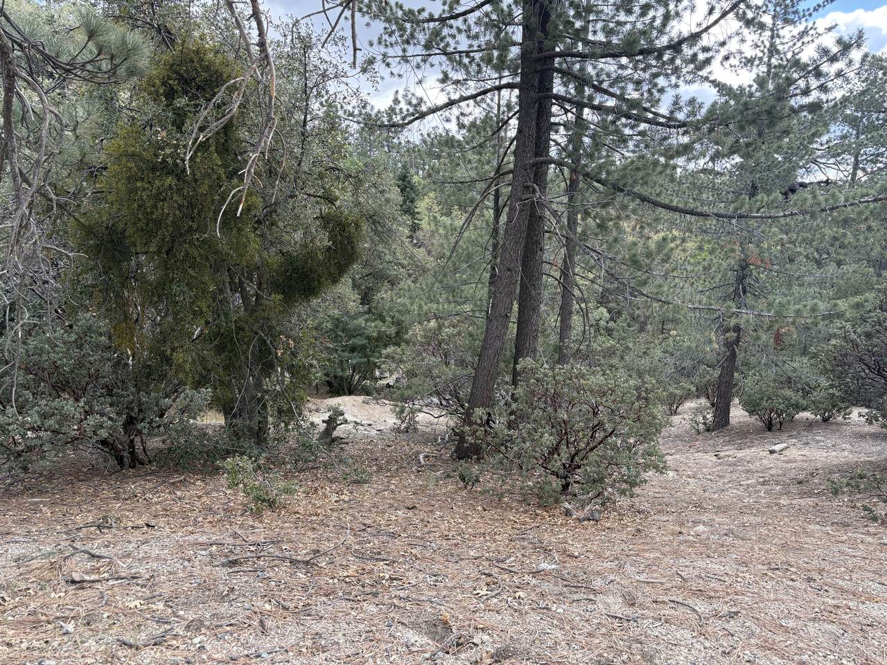 https://bt-photos.global.ssl.fastly.net/damls/1280_boomver_1_219146265-2.jpg