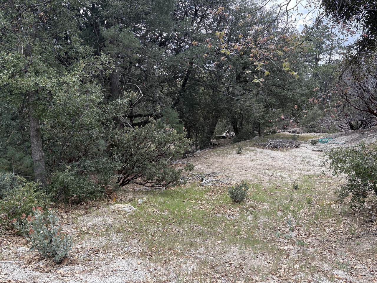 https://bt-photos.global.ssl.fastly.net/damls/1280_boomver_1_219146265-2.jpg
