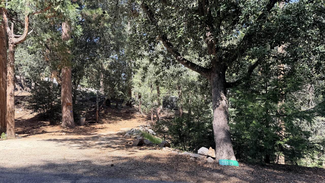 25235 Nestwa Trail - Photo 1