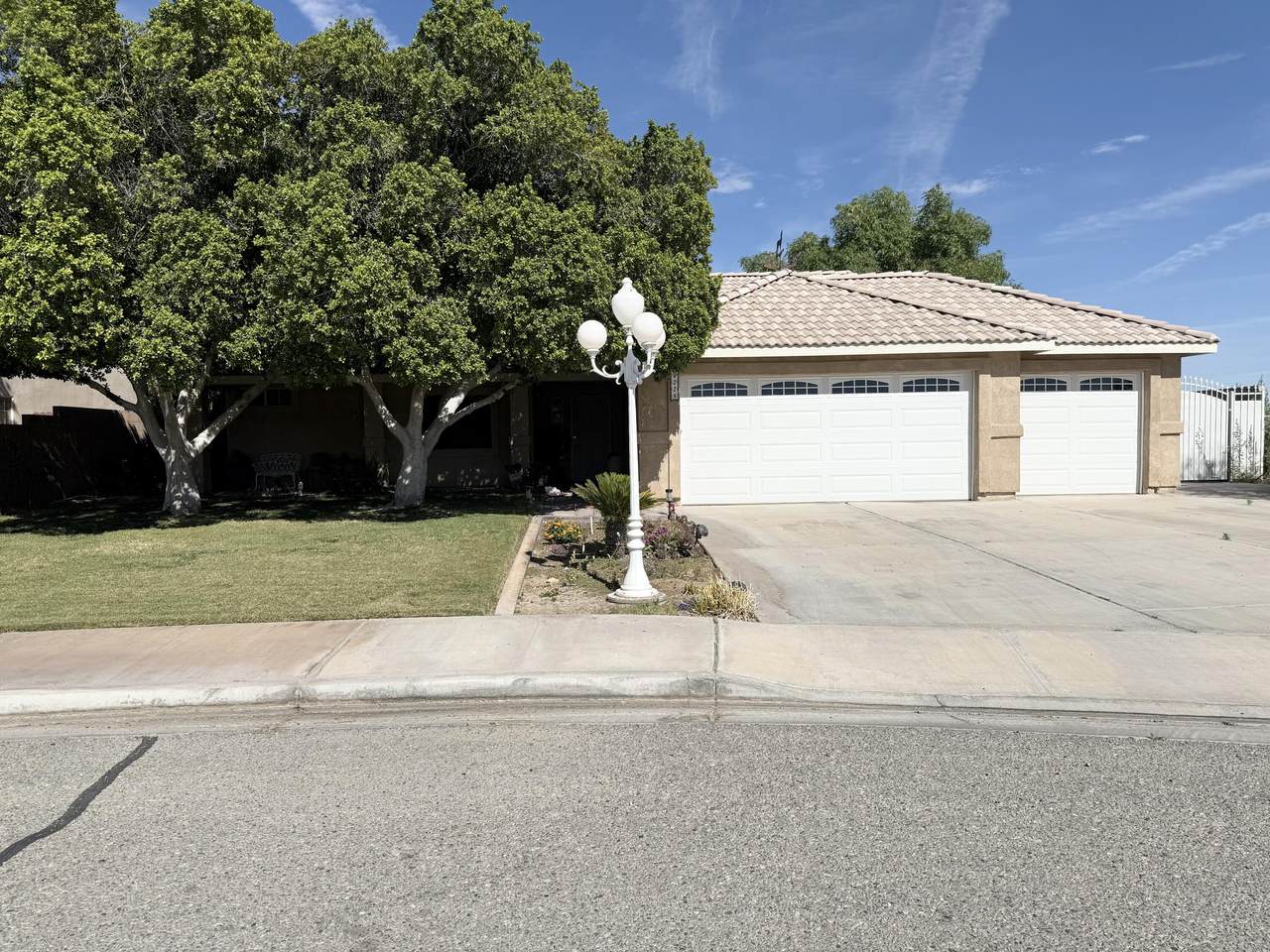 228 Shaded Palm - Photo 1