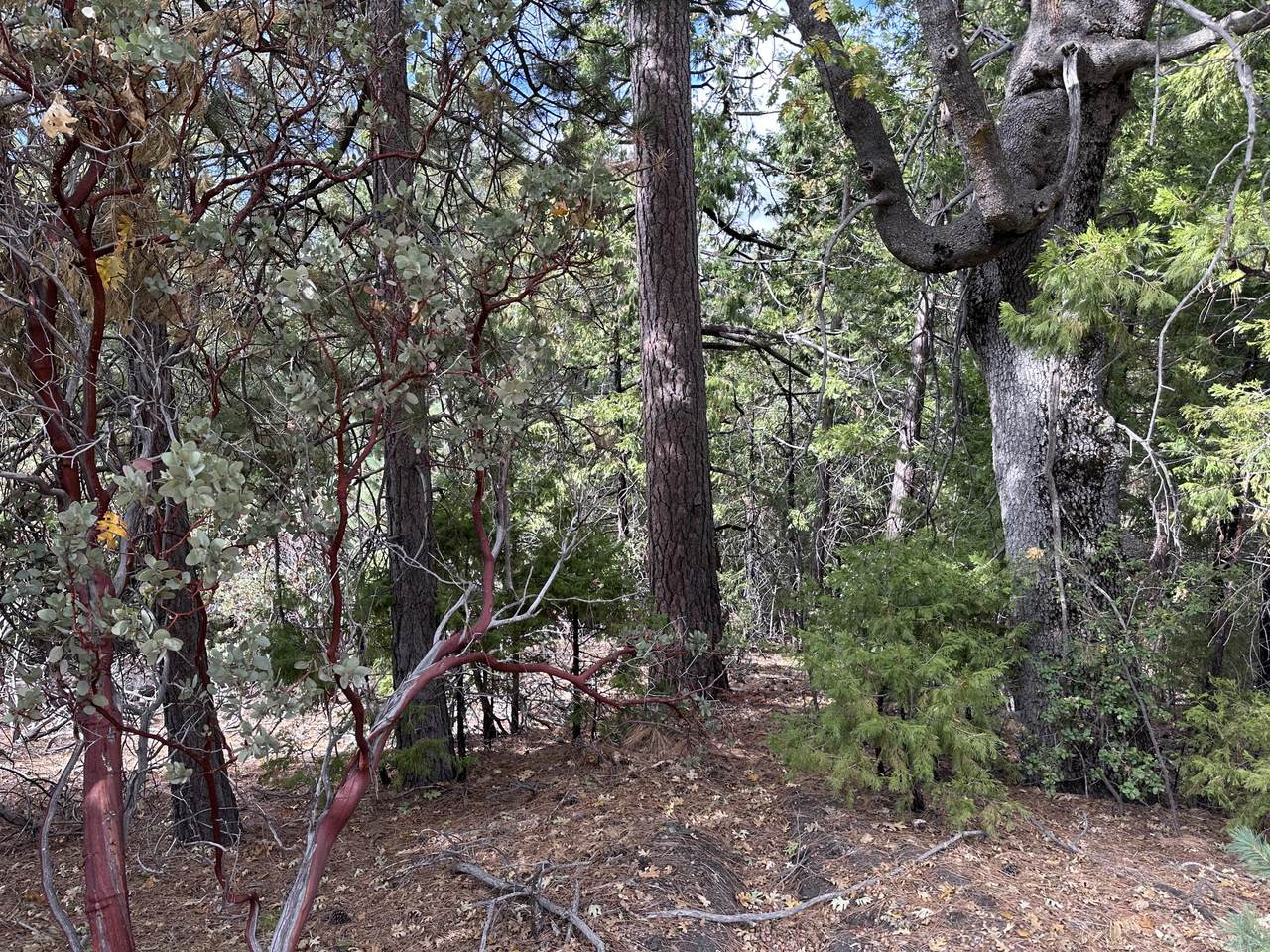 https://bt-photos.global.ssl.fastly.net/damls/1280_boomver_1_219147592-2.jpg