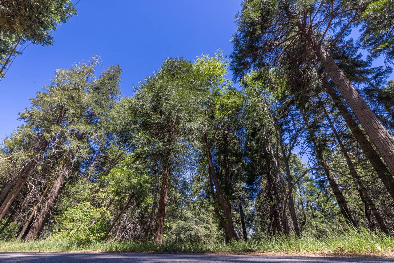 Lot 78 Cedar Pines Drive - Photo 1