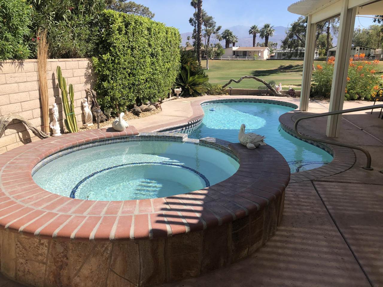 74637 Mexicali Rose - Photo 1