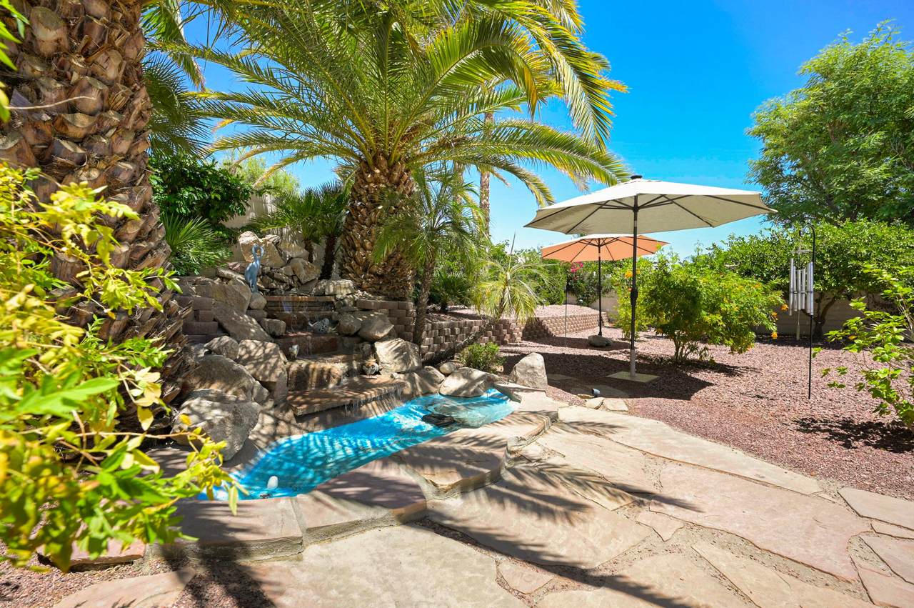80308 Camino San Mateo - Photo 1