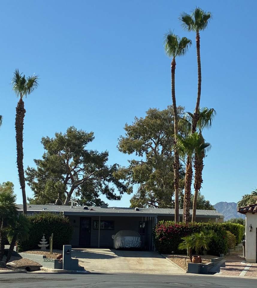 73281 Lone Mountain Lane - Photo 1