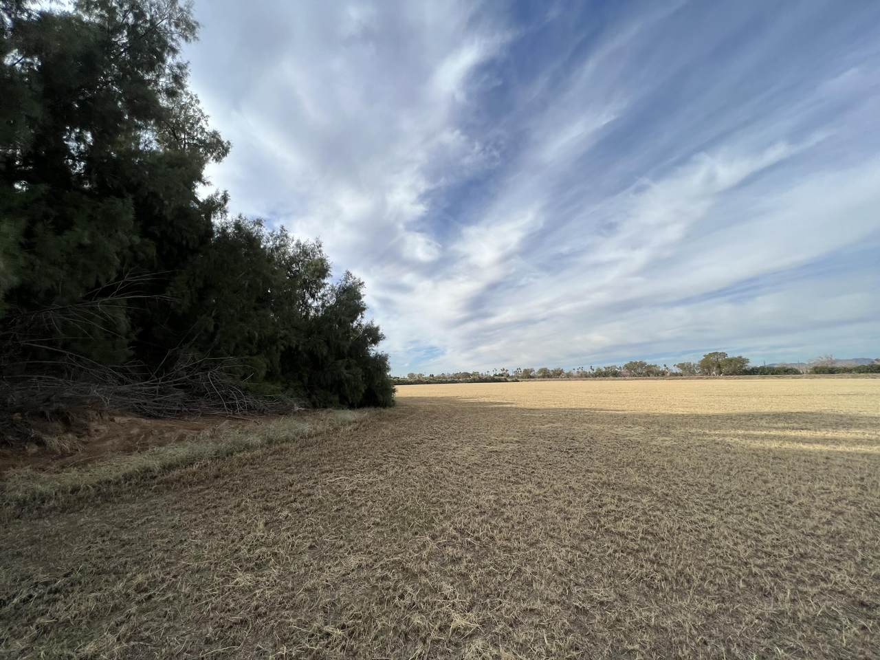 https://bt-photos.global.ssl.fastly.net/damls/1280_boomver_1_219149683-2.jpg