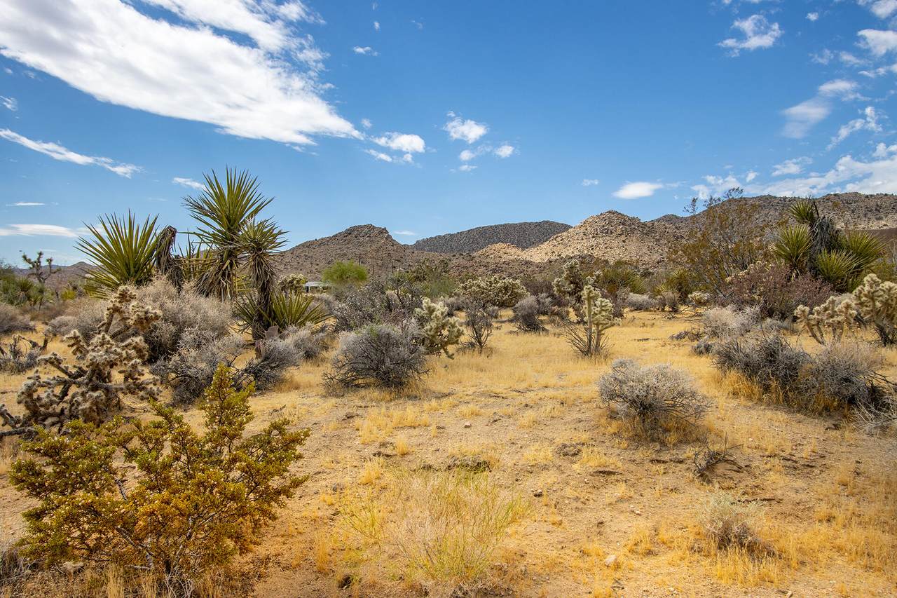 https://bt-photos.global.ssl.fastly.net/damls/1280_boomver_1_219149764-2.jpg