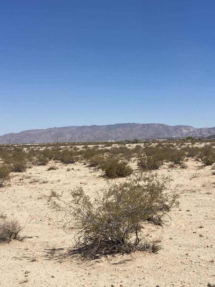 66055 Mars Drive - Photo 1