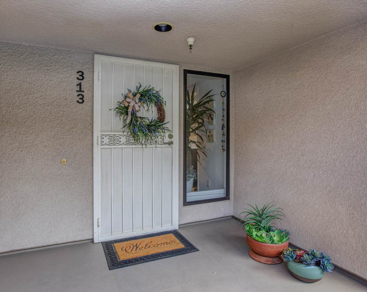255 Avenida Caballeros - Photo 1