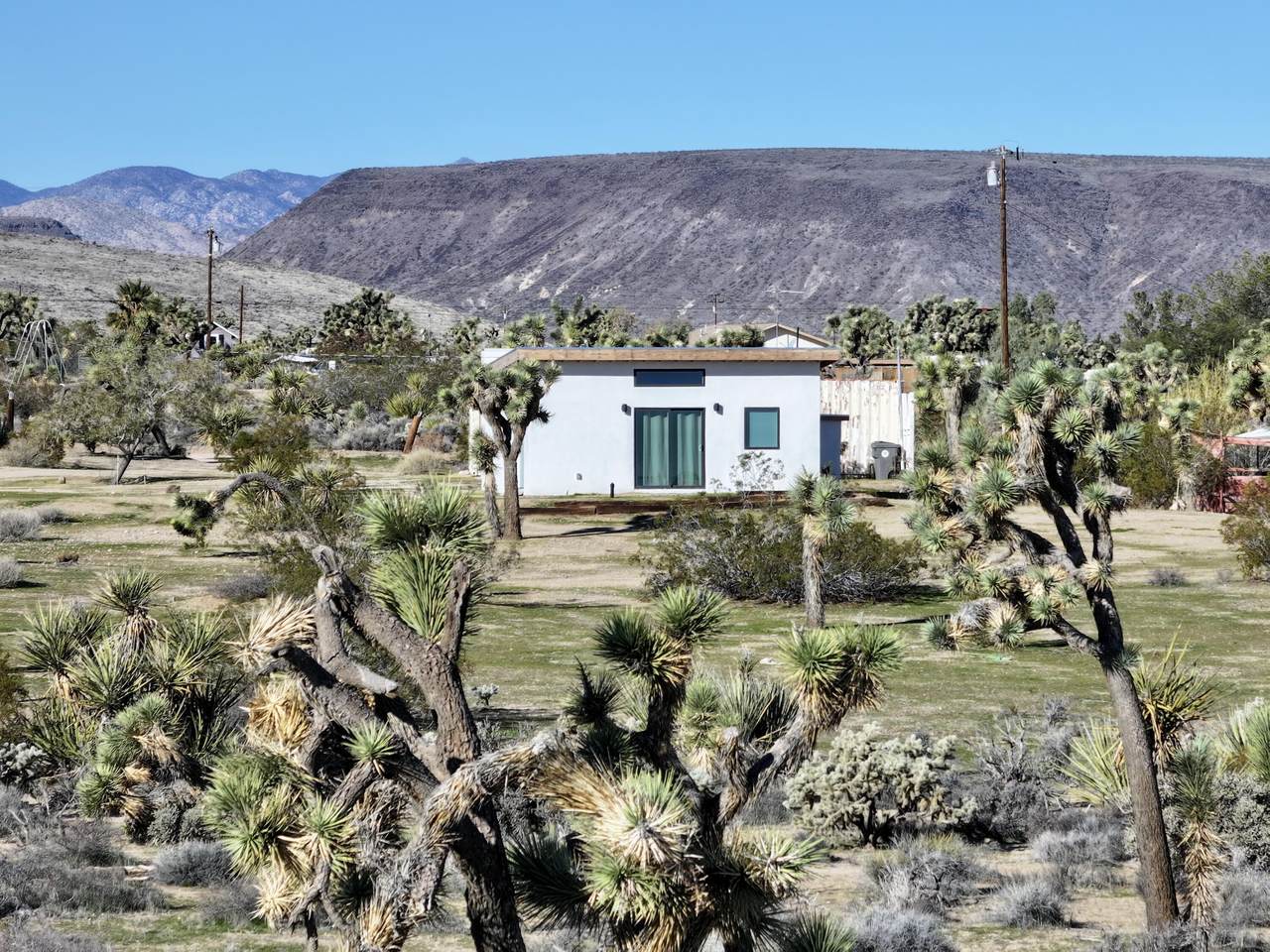 4039 Greasewood Lane - Photo 1