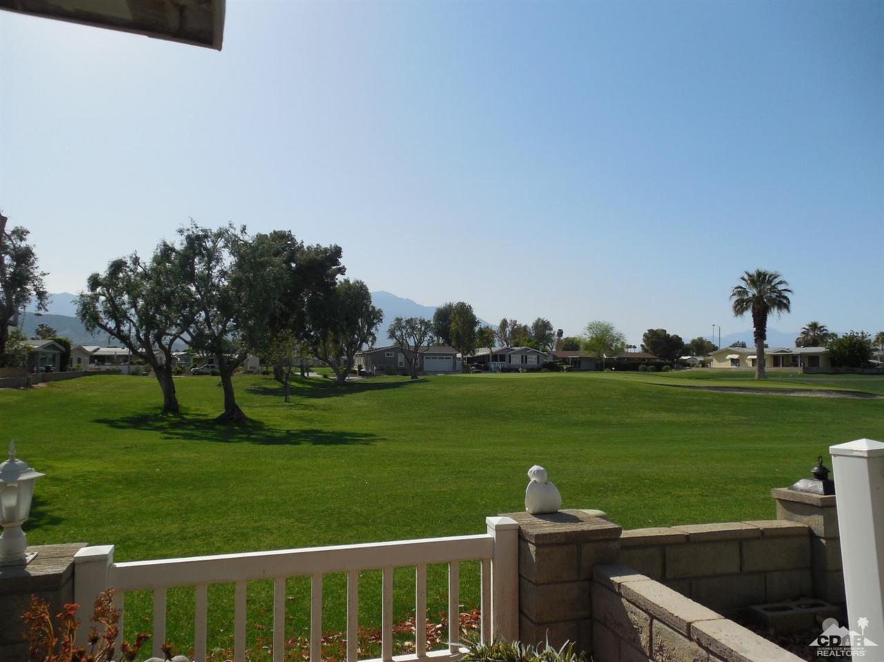 38665 Fawn Springs Drive - Photo 1