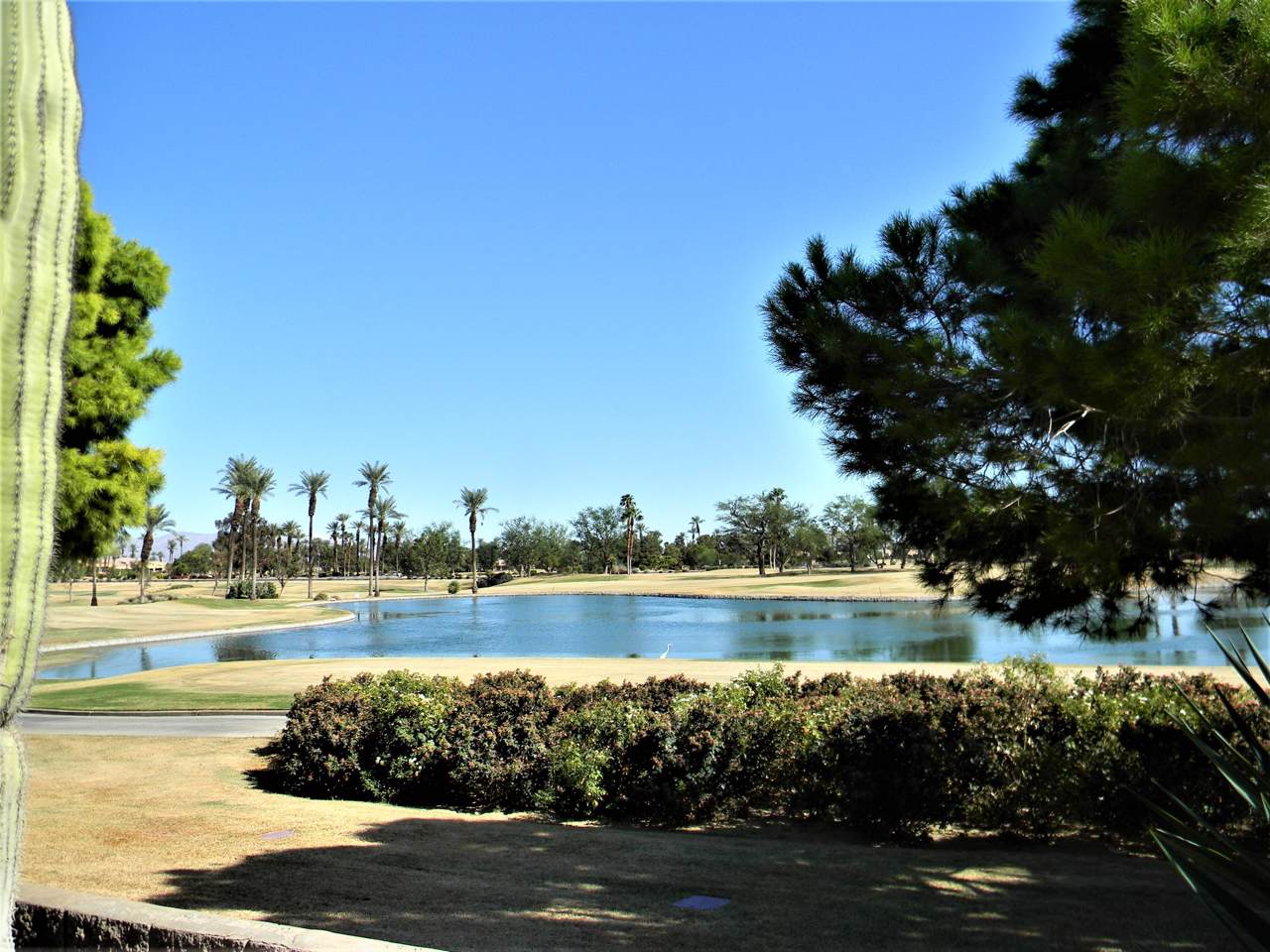 38236 Sunny Days Drive - Photo 1