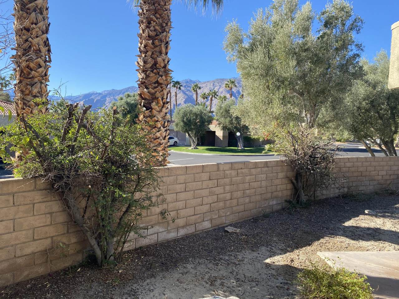 2921 Sunflower Circle - Photo 1