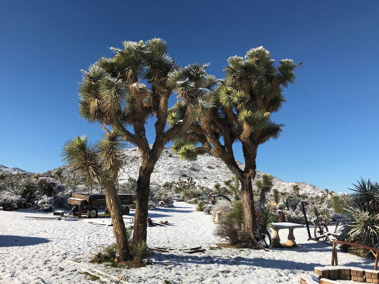 8064 Acoma Trail - Photo 1
