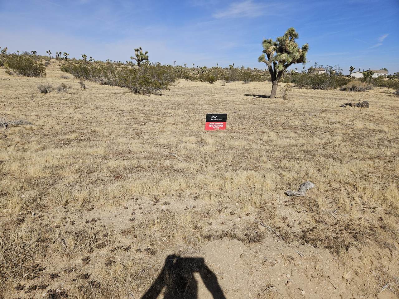 01 Sunflower Drive - Photo 1