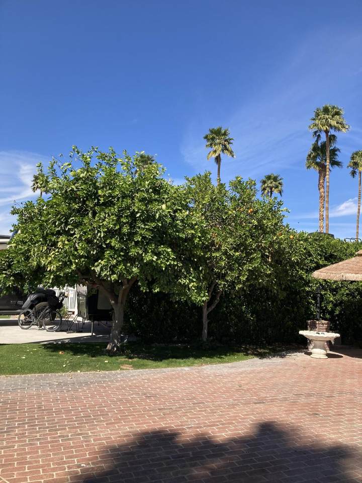 69411 Ramon Road - Photo 1