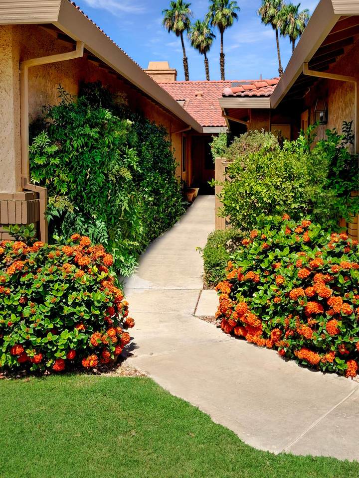 23 Camino Arroyo - Photo 1