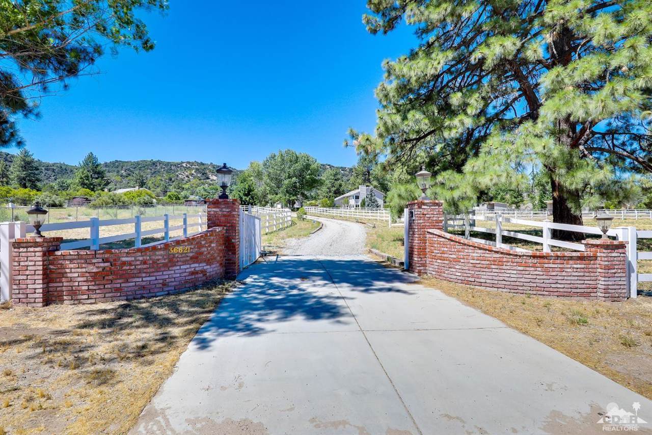 36621 Lion Peak Road - Photo 1