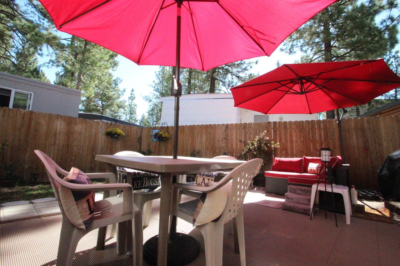 475 Thrush - Photo 1