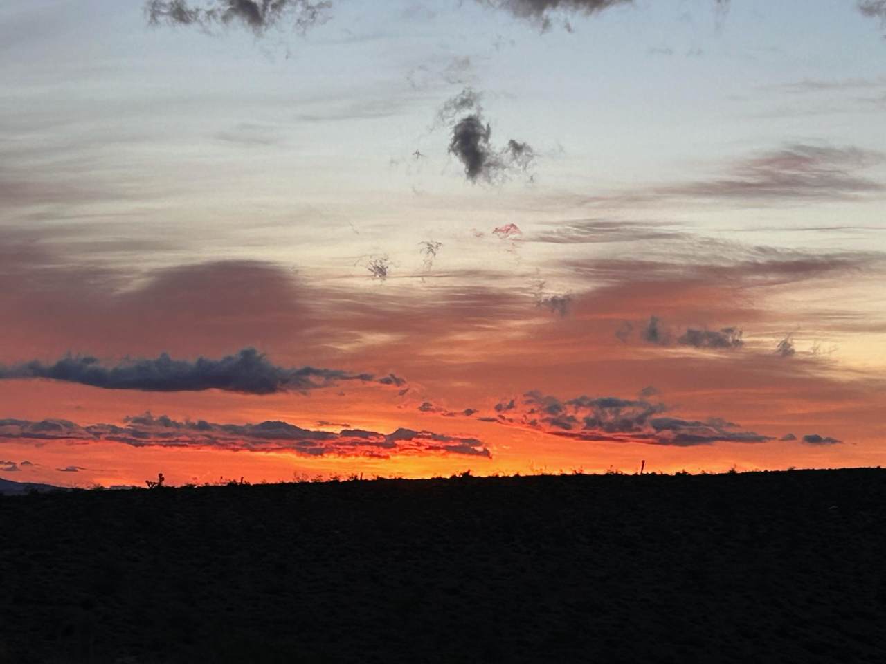 https://bt-photos.global.ssl.fastly.net/damls/1280_boomver_3_219140284-2.jpg