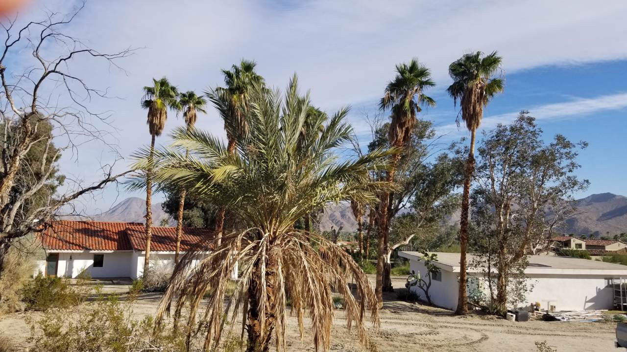 71625 Cholla Way - Photo 1