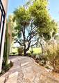 33 Mission Court - Photo 8