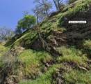 6913 Panoramic Drive - Photo 7