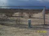 64806 Chollita Road - Photo 1
