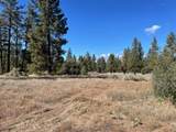 Lot 19 Devils Ladder Road - Photo 1