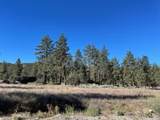 Lot 19 Devils Ladder Road - Photo 3