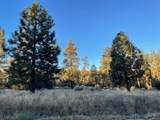 Lot 19 Devils Ladder Road - Photo 4
