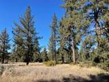 Lot 19 Devils Ladder Road - Photo 5