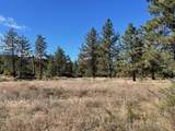 Lot 19 Devils Ladder Road - Photo 7