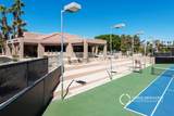 29118 Desert Princess Drive - Photo 26