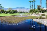 29118 Desert Princess Drive - Photo 41