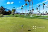 29118 Desert Princess Drive - Photo 44