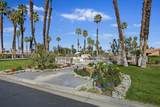 195 Camino Arroyo - Photo 41