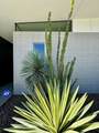 73021 Bel Air Road - Photo 5