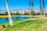 28859 Desert Princess Drive - Photo 28