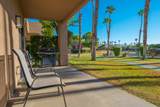 28984 Desert Princess Drive - Photo 11