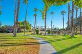 28984 Desert Princess Drive - Photo 13