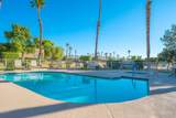 28984 Desert Princess Drive - Photo 14