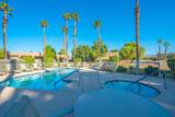 28984 Desert Princess Drive - Photo 15