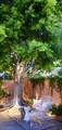 47192 El Agadir - Photo 2
