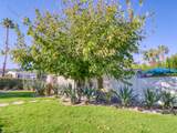 7 Ocotillo Lane - Photo 54